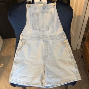 Aritzia overalls
